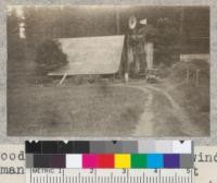 Redwood stump utilized for windmill tower. Hoffman's ranch, Holmes Flat. 1925