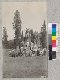 A group of the Fresno 4-H Club boys at Whitaker's Forest, June 5, 1928, on one of the old stumps. Metcalf