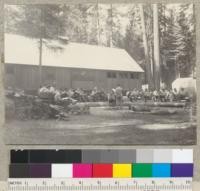 Camp Califorest. Professor Barr goes over the day's work with 105A. July, 1939. E.F