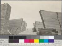 Lumber piles and elevated gangway, over the mudflats of Humboldt Bay. High tide comes up under the piles. Pile foundations are high enough off the ground to avoid the high water. Stickers 1"x6"x6'. Dolbeer-Carson Lumber Company. Eureka, California. May 24, 1920. E. F
