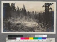 Tree being yarded entire except limbs and top. Whistle punk by forked cedar. Shows: main line--butt line & hook--Back line & choker--Clio mill in distance. Feather River Lumber Company