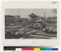 [No caption on photograph. Possibly shows members of the U.S. Army Signal Corps, Spruce Production Division (Spruce Squadron) and their logging operations in the Pacific Northwest during World War I.]