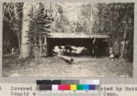 Covered sleeping shelters erected by Butte County 4-H Club at Bucks Lake Camp. W. Metcalf - July 1931