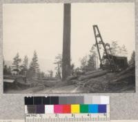 4.3245 Willamette Electric skidder serving as loader. Sugar Pine Company, 1923