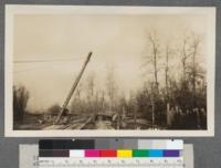 The landing and unloading rig. The logs are lifted from the cars by the two lines which show clearly in the photo. The logs are dumped into the slough and float down with the tide about 1/4 mile to the Columbia where they are rafted