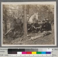 Dunning, Conklin, Muzzall and Professor Mason at the fall camp, Quincy, California, 1915. Dunning's Buck. Cut used in first Forestry Announcement, Oct. 1916. Mulford negative