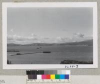 Richmond Ferries from Standard Oil Company point. Metcalf. Jan. 1953