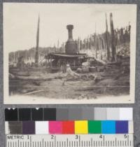 Logging at Hammond Lumber Company. Taken by Byrne 1919