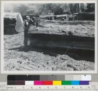 Redwood Region. Chris Gilson's operation on lower Turwar Creek. Klamath River, near Klamath, California. Titan chain saw used for ripping redwood logs. Single-saw sawmill in background. Nearing end of the cut. 8/17/48. E.F