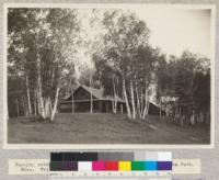 Faculty cottages at Minnesota Forest Summer School, Itasca Park, Minnesota. White birch and White spruce. Lantern slide made