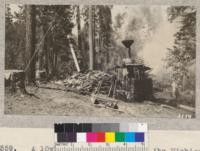 A 10x12 compound yarder at the Michigan California operation near Pino Grande in a typical setting. The Sugar Pine limb wood is delivered to the engines by a contractor at the rate of $10 per day per machine. State fire law requires clearing of 100 foot radius about each machine. This company is complying with the law though they feel that the hold-over fires around the operation may tend to make their men careless with fire