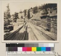 Mill yard - California Lumber Company. Tahoe National Forest