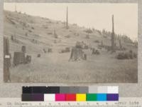 On Garcia River. Looking from Grant's ranch over into Olsen's rye patch. View taken 200' up river from photo #1684. Less steep portions were plowed, steeper portions are in brush. Rye is only fairly good. Light soil. June 4, 1922