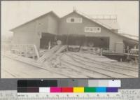 Front end of mill of Union Lumber Company, Fort Bragg, California. Note endless chain log haul-up from pond. Note also that log cars can be unloaded directly to log deck. This makes it possible to keep sinkers out of the water, a car containing a sinker being pushed into the mill for unloading. May, 1920. E.F