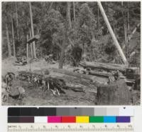 Caspar Lumber Company main landing at Camp 20. Railroad ends and truck haul from woods meets railroad. Bark peeling accomplished at the landing, using old Caterpillar "60" for rolling logs. "International" truck unloading, using a double-drum cat. "60." May 21, 1941. E.F