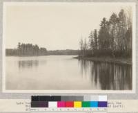 Lake Desoto. Itasca Park, Minnesota. Norway Pine on Island. One White Pine on left. Norway and Jack on mainland (left). All but island burned, 1914