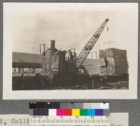 Red River Lumber Company, Westwood, California. Moving packages of lumber from sorting chain to flat car for transportation to yard. Package has just been released