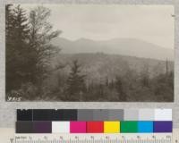 View of Mount Mitchell, highest point east of the Rockies, near Asheville, N.C. The conifers shown are mixture of Red Spruce and Frasier Fir. Much of this area was heavily logged by Perley and Crocett for spruce lumber. Now part of Pisgah National Forest