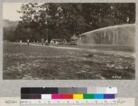 Demonstration of forest fire fighting equipment at National Park Service Conference, Berkeley. Feb. 17, 1928. H.E.M