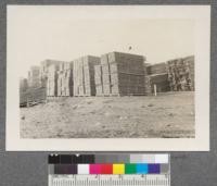 Red River Lumber Company, Westwood, California, The yard, showing method of stacking packages into piles. Note stickers in file at x. The foundation has only 3 legs, while file has 4 stickers. Note how stringer of foundation is bent, causing lumber above to bend also