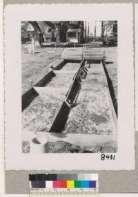 Views of the seedbeds at the H. Nielsen ranch, Empire Grade, Santa Cruz County. The sprinkler system was controlled by an electric clock and valve which could be set so that the seedbeds would be automatically watered hourly, daily, weekly, etc. March 1950. Grah