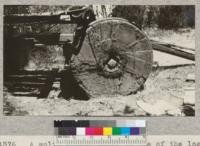 A solid wooden wheel on one of the logging trucks used at mill near Camp Forward near Manton, Shasta County. Note methods of plugging up checks and tightening tire. Metcalf. July, 1928