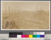 Flat type of landing from which logs are rolled on to cars. Dolbeer Carson Lumber Company, Humboldt County. In envelope of another group of this total series