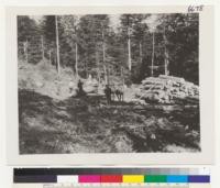 [No caption on photograph. Possibly shows members of the U.S. Army Signal Corps, Spruce Production Division (Spruce Squadron) and their logging operations in the Pacific Northwest during World War I.]