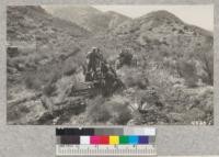 Road machinery demonstrations on Santa Barbara Forest. April, 1929. Metcalf