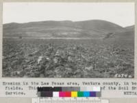 Erosion in the Las Posas area, Ventura county, in bean fields. This is in the project area of the Soil Erosion Service. January 1935. Metcalf