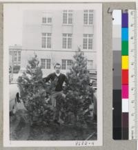 Osborne and two incense cedar Christmas trees which sold all right. Metcalf. Dec. 1952