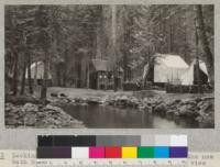 Looking across the pool at Camp Califorest to the new bath house and tent houses built in 1926. The veiw also shows the branchy character of the second-growth (about 70 years old) of mixed species occupying the camp site