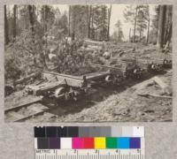 Skeleton flat cars, 26 feet long; used by Michigan-California Lumber Company. May 1923