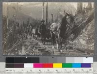 Transporting seedlings from Silverton Nursery to Buck Creek Planting Area on an old railway. Snoqualmie Forest, Washington