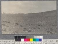 The Campbell Creek planting site April 25, 1921, from south side across the watershed. The high line railroad is shown faintly in the background. Note scattered debris and clumps of redwood sprouts