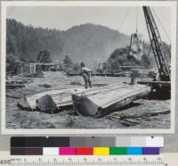 Redwood Region. Dropping the 1000 lb. hammer. Glynn Brothers mill in background. (Series 7493-8). 8-31-50. E.F