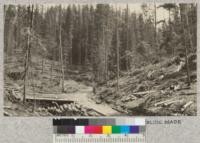 Diamond Match Sale. Priest River, on state land, administered by Forest Service. At right brush piled. At left burned. Green timber in background