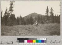 The trail to Red Mountain lookout station, Washington, leads through open stands of Amabilis and nobilis fir, lodgepole and white pines and Douglas Fir. This is near the Race Track Ranger Station where Indians used to come to race their ponies