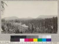 A view of the Quincy-Portola road and the Penman Peak Lumber Company's smoke stacks over an uncut area of yellow pine. The mountains on sky line are Elwell to the left, Eureka to the right, Washington in the center