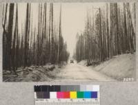 Esthetic values along highway were destroyed by fire of May 1924 near DeSabla, Butte County, which burned over 300 acres of 60 year old second-growth pine. This will be a blot on the landscape for many years and a very real fire menace when trees have fallen. Metcalf, 1925