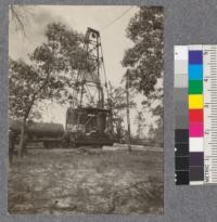 Homemade high lead skidder developed and used on operations of Harbeson Lumber Company, DeFuniak Springs, Florida. The skidding line is hauled into the woods by a mule and the donkey at the base of the high lead tower skids the trees in full length