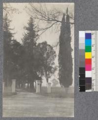 Attractive entrance to a ranch from the highway. Italian Cypress at right. Row of redwoods along farm drive. Near San Jose