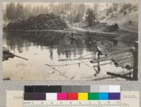 Spanish Peak Lumber Company Pond near Quincy, California. Manager Dan Baldwin on log. E. Fritz, July 1929