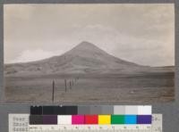 Near Gold Butte, Montana in the Sweet Grass Hills. Excellent grazing land. South slopes carry a density of 0.3 to 0.5. North slopes from 0.6 to 0.8, requiring about 8 acres per cow for six month grazing period. T.36 N. R.2 E.P.M., Sec. 35. Havre, Montana