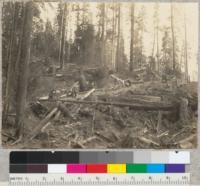 Redwood Region. Three tractors moving a yarding donkey engine at Holmes Eureka Lumber Company's boy scout camp operation. 7-8-36. E.F