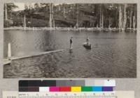 Camp Califorest. The camp's new rowboat gets tried out on Silver Lake. Thorne-Thomsen at the oars, Werner standing up, Prater on the edge of the sugar pine tree serving as a dock. E. F. July, 1931. [Handwritten addition to caption reads: "Note: for pictures of Pines and Firs taken 1931--see under Abies and R[illegible] W. Y. P." {Western Yellow Pine?}]