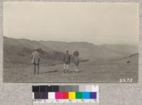 Looking N.W. from sky line trail near Bald Peak over the watershed of Wildcat Canyon. April 1923