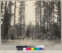 Silviculture field trip at Camp Califorest. On Dean's Valley Road, south side of Sec. 24. 6/2/36, E.F