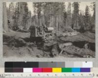 Skidding logs with a caterpillar 60 at Fruit Growers' Supply Company camp which loaded 535,000 ft. of logs in one day. Oct., 1926. 7 "cats" and the loader