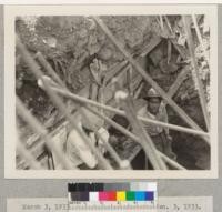 March 3, 1933. Point Mugu - erosion Jan. 3, 1933. Brush fire occurred October 3, 1932. A. G. Muench. Los Angeles County Dept. Forester & Fire Warden